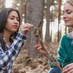 Țânțarii: beneficii ecologice surprinzătoare