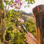 Cum să atragi albine și fluturi în grădină cu plantele potrivite